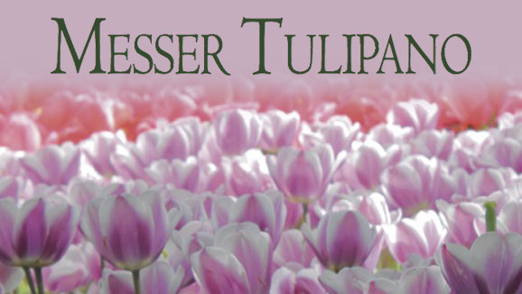 Slideshow Messer Tulipano